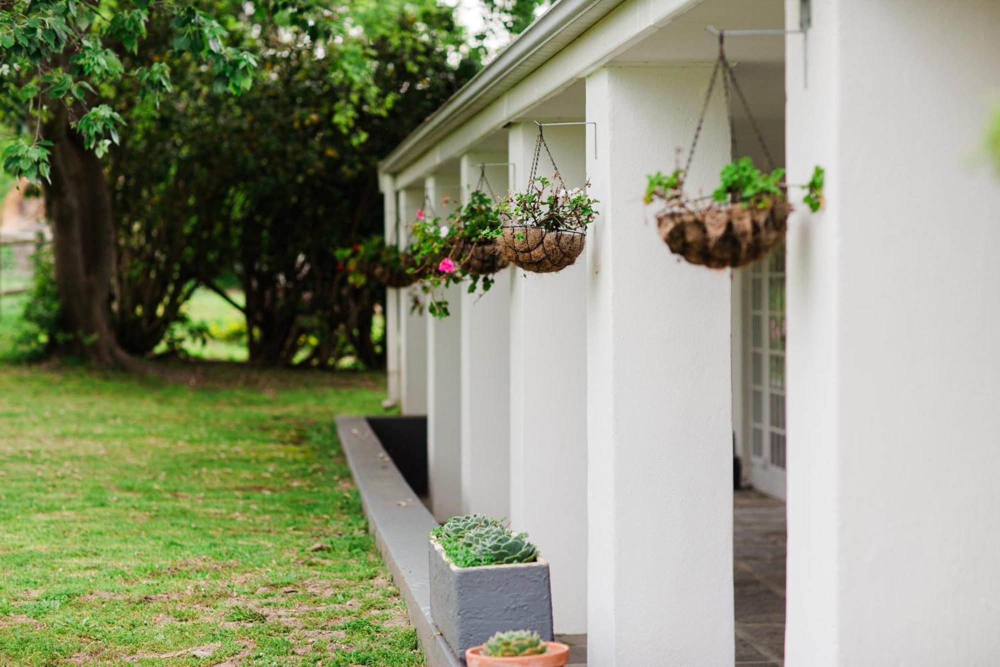 Bed and Breakfast Marshden Estate Municipalità locale di Municipalità locale di Stellenbosch Esterno foto