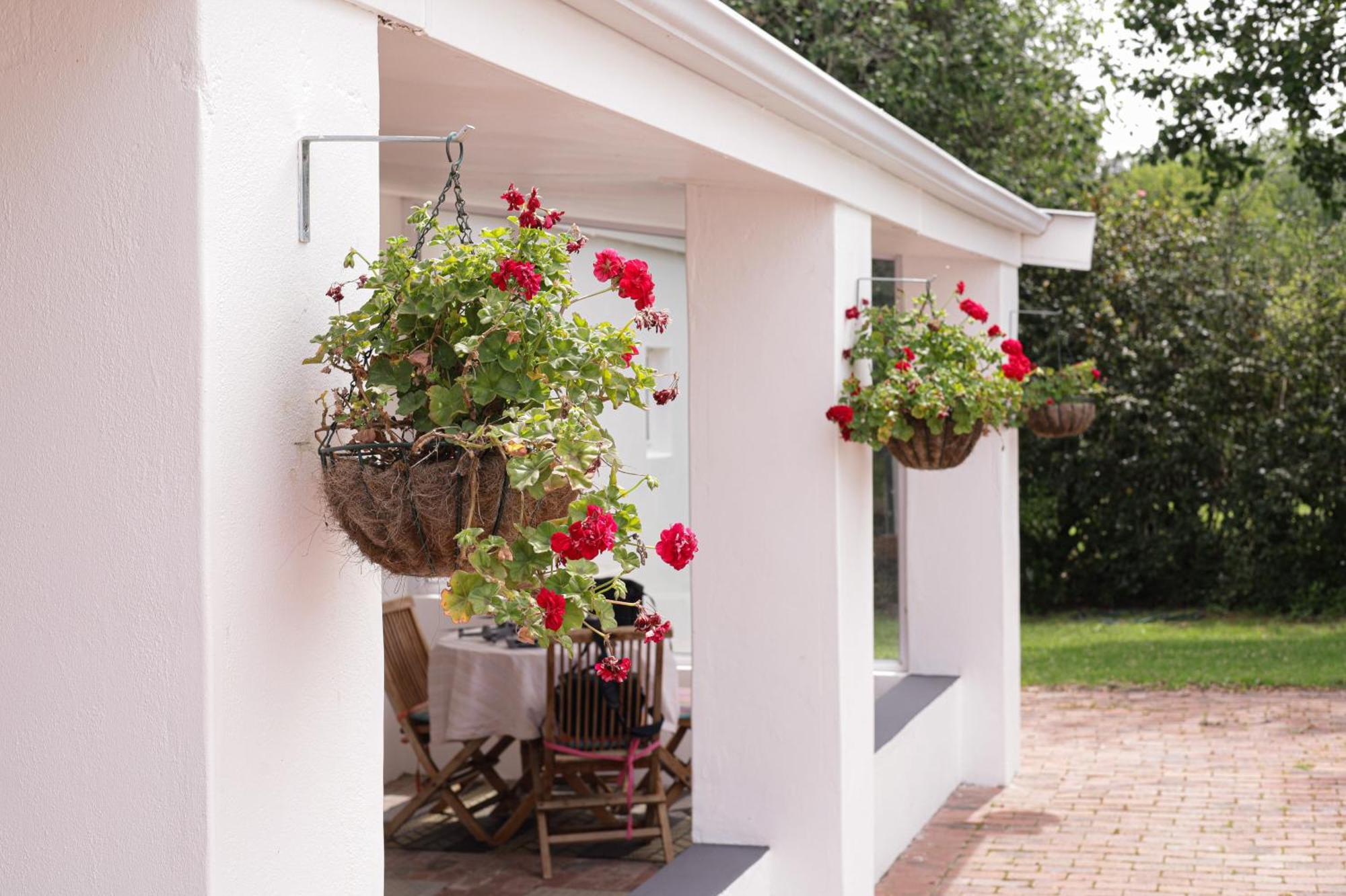 Bed and Breakfast Marshden Estate Municipalità locale di Municipalità locale di Stellenbosch Esterno foto